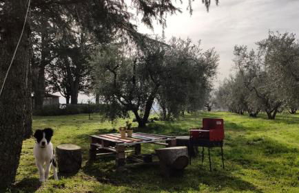 Agriturismo La Villetta - Foto 10