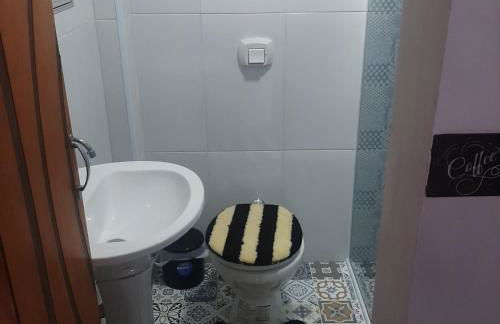 cantinho do Xavier - Photo 5