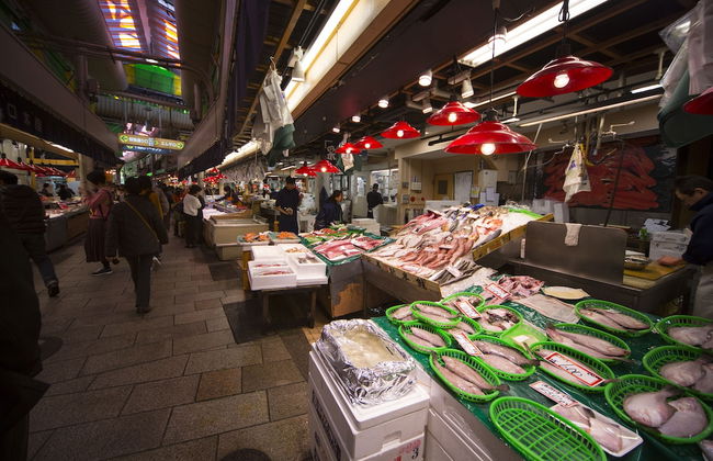 Zaimoku-an - Foto 41