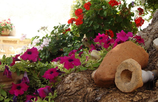 Guest House Al Gattopardo - Photo 48