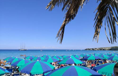 Oasi di Mare - Foto 16