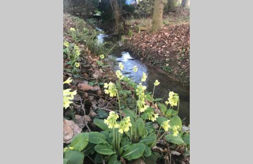 Am Mühlbach - Photo 18