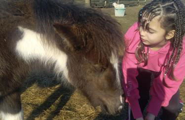 eco nature, gite à la ferme - Foto 23