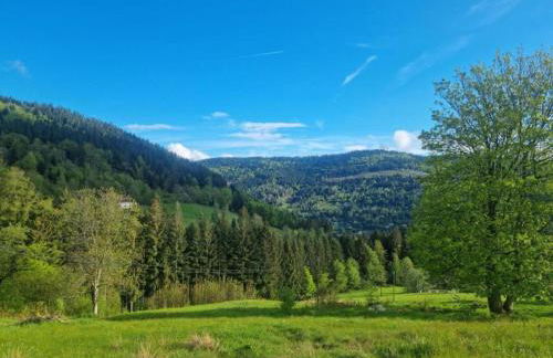 Ventron Chalet with Hill Views - Foto 36