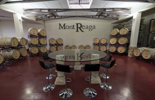 Visita a la bodega Mont Reaga - Foto 8