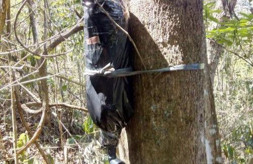 Chalé Refúgio dos Aventureiros Mata Atlântica - Foto 23