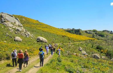 Merim Apartments - Foto 45