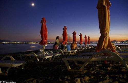 Garden house - Photo 58