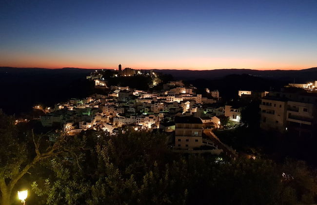 Finca Baeza Flores - Photo 14