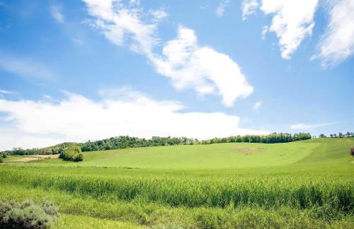 Villetta rosso Rubino - Foto 15