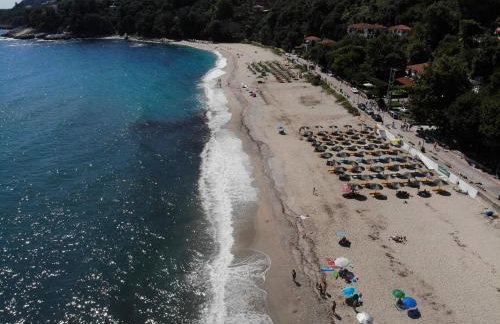 Ammos papanero - Foto 22