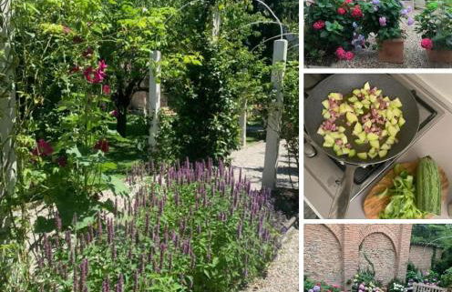 Secret Garden and Cozy Flat - Photo 14