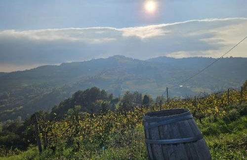 appartement Barbera - Foto 42