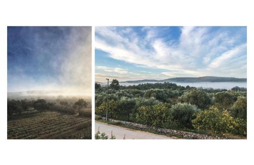 Villa Zann - Foto 22