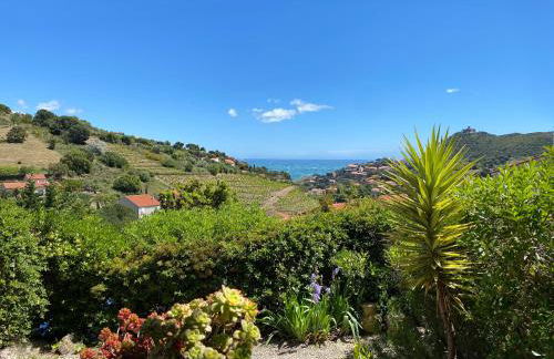 Les Vigies-T4 vue mer-terrasse-parking-6 pers - Foto 1