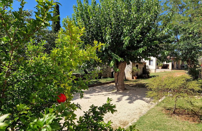 Apartment Gina - Foto 38