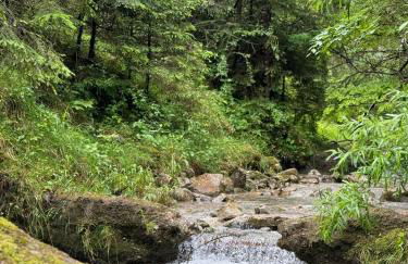 Panorama Chalet - Foto 34