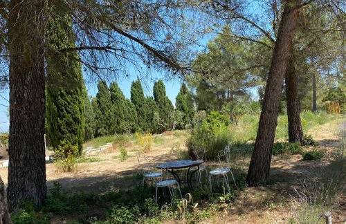 Mas de la Cadenière - Foto 15