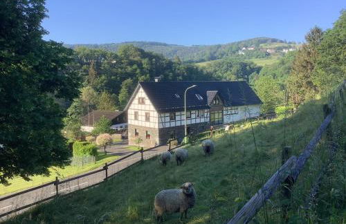 Berg Blick Eifler Bauernhaus modern restauriert - Photo 1