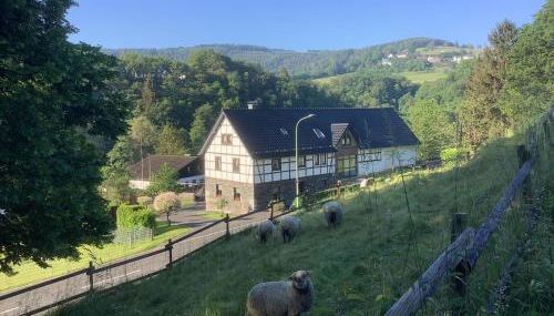 Berg Blick Eifler Bauernhaus modern restauriert - Foto 1