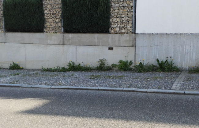 Ferienwohnungen Prestige 2 - Foto 50