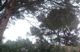 Villa Chabola - Foto 16