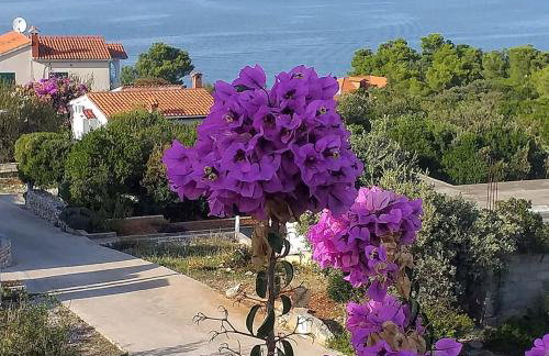 Apartman Karlo - Foto 2