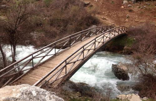 Saluda Alta - Foto 47