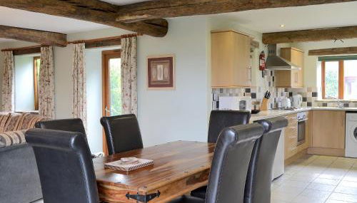 Chive - E4326 - Foto 4