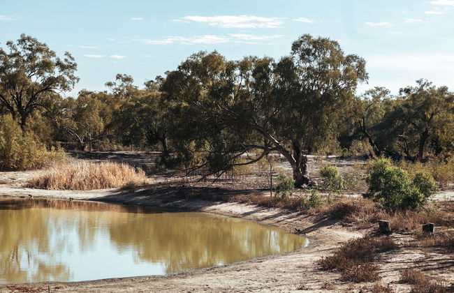 Warrawong on the Darling - Foto 33