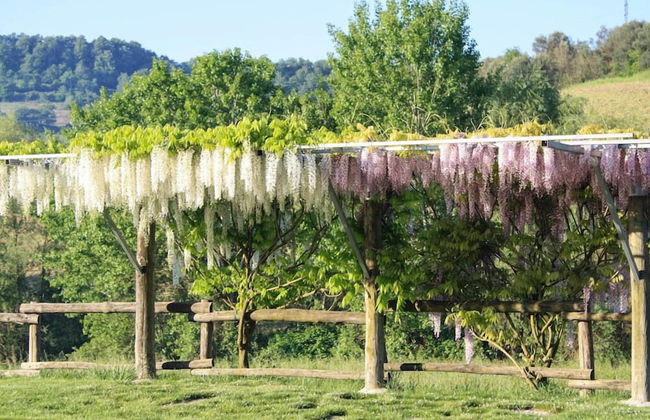 Verdidea - Podere della Bruciata - Foto 73