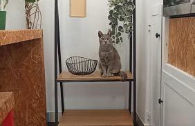 Kanela Guest House B-side - Foto 19