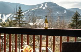 Hunter Haven - Luxury Cabin Near Mountain Ski Resort - Foto 69
