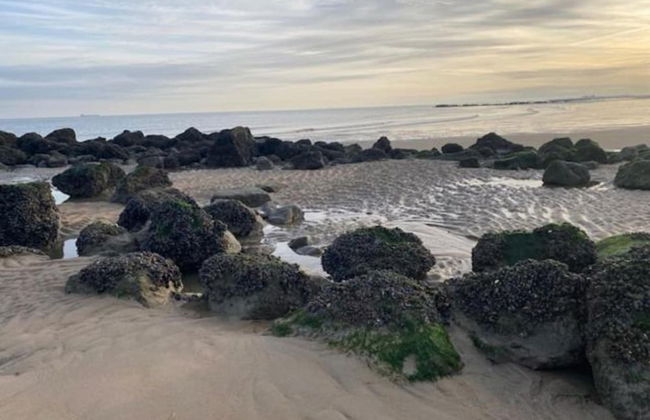 Cosy Apartment Directly on the Beach in Knokke - Foto 40