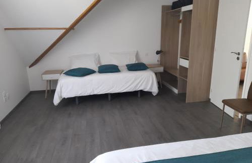 Gîte les gentianes Fleurs des Pyrénées - Foto 9