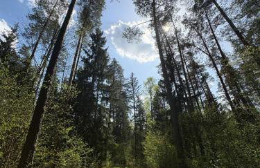 Agroturystyka Żółta Ostoja - Foto 23