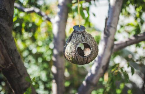 Apartments Jug - Foto 76