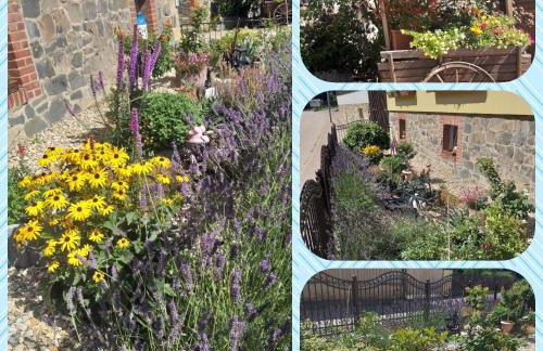 Ferienhaus Harzer Bauernhof - Foto 17