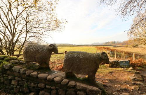 West Reins - Photo 23