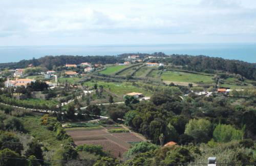 Casa Do Cha - Photo 22