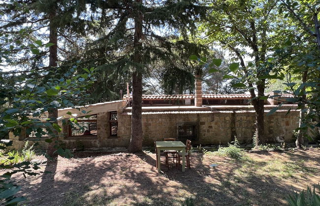 Agriturismo Bosco Pianetti - Foto 26