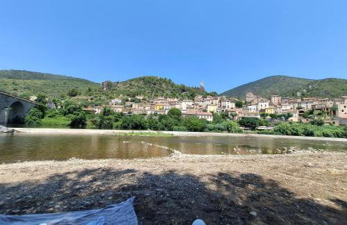 Le rivage - Photo 31