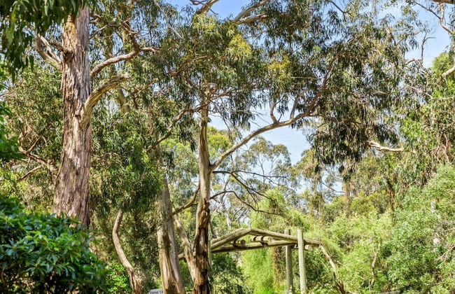 Groovy Log House Lorne Ocean View Log House Pet Friendly Freshly Renovated - Photo 14