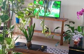 Casa aconchegante - Foto 17