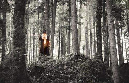 Landhaus Gastager - Foto 47