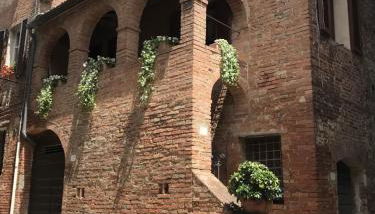 La Loggetta - Foto 2