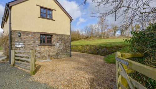 Thorny Tallet - Foto 3