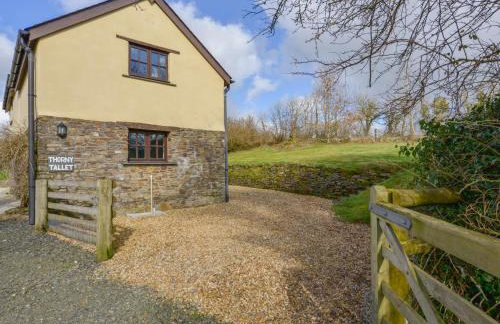 Thorny Tallet - Foto 3