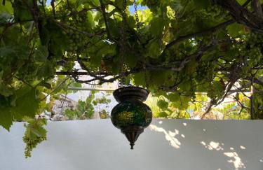 Dream House Little Villa - Amorgos - Photo 19