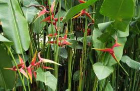 " Seu Cantinho" - Foto 18